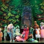 Shrek -A1 STAGE SCENERY AND SET HIRE FOR - Swamp